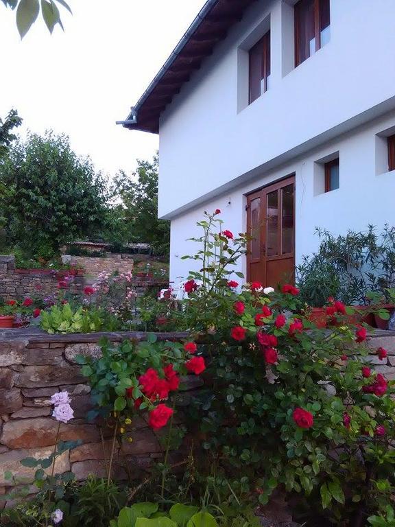 Fenix Rooms Arbanasi Zewnętrze zdjęcie